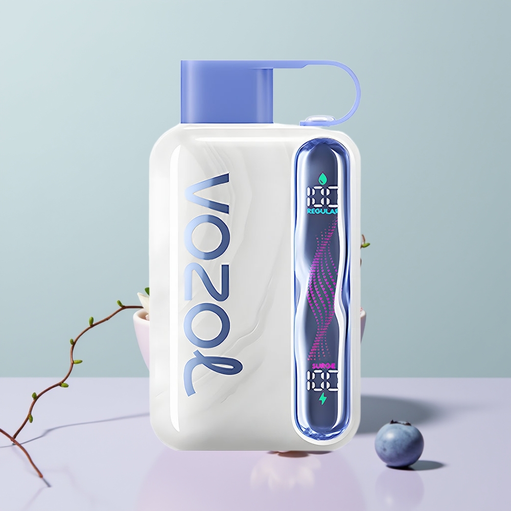 Wholesale Portugal VOZOL STAR 40000 Puffs 1000mAh Menta Mirtilo