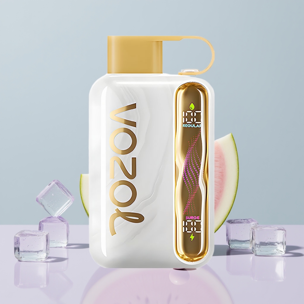 Wholesale Portugal VOZOL STAR 40000 Puffs Melão Gelo Vape Descartável