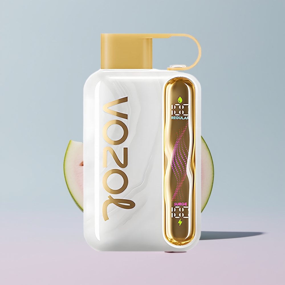 Wholesale Portugal VOZOL STAR 40000 Puffs Tipo-C Chiclete de Melão